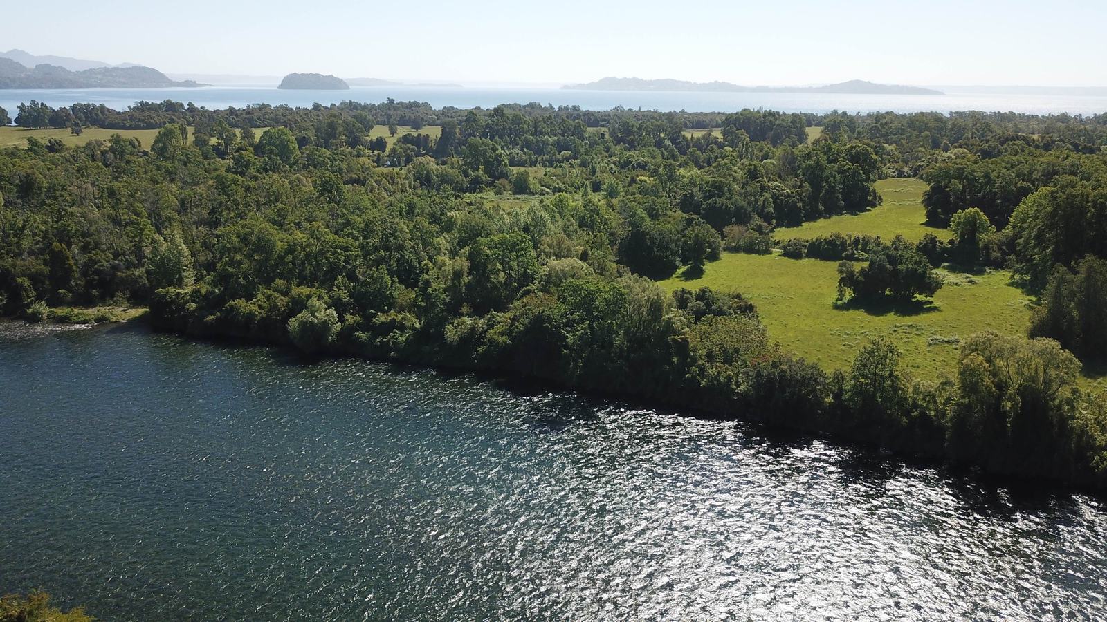 Borde del río con bosque nativo