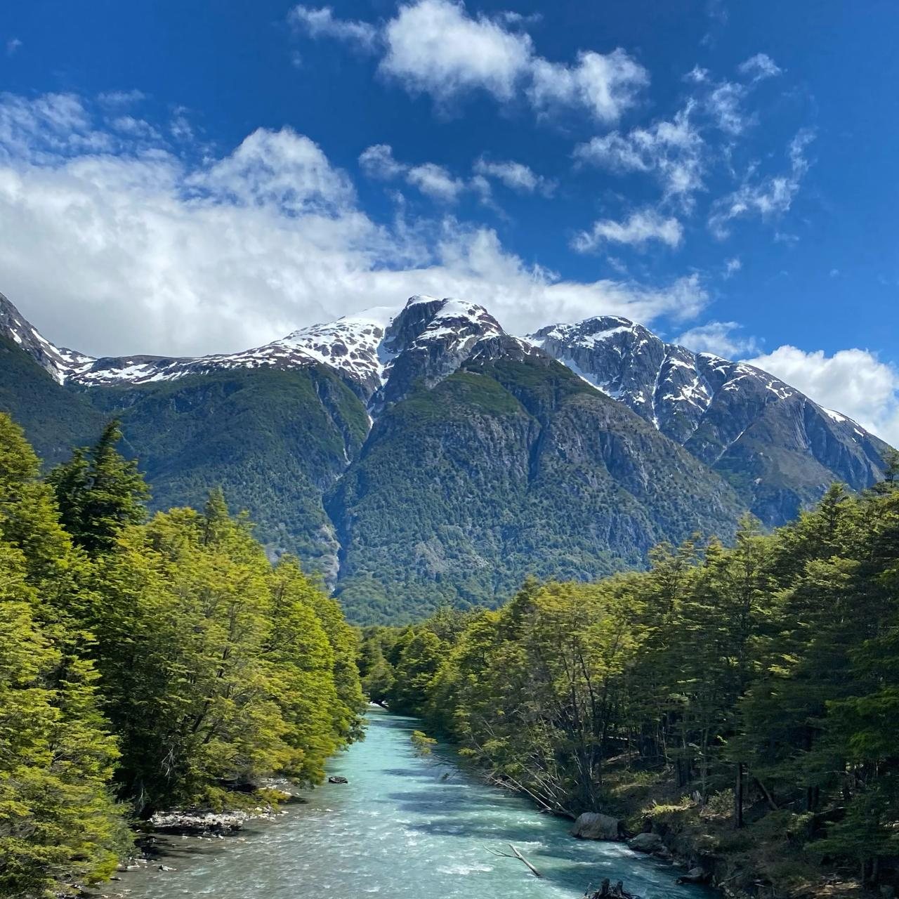 Río turquesa entre bosque nativo con cerros nevados al fondo